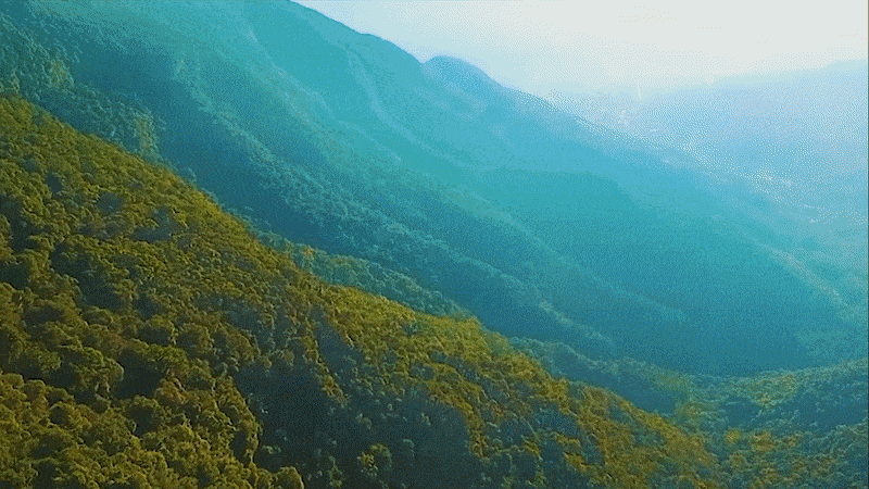 PUCRS_Biodiversidadeedistrbioporfogoemcampos-ezgif.com-video-to-gif-converter (2) (2) (1).