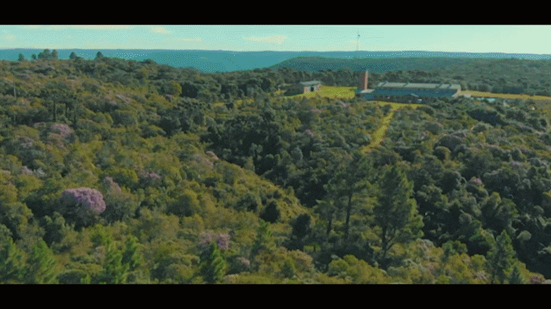 Composio1-ezgif.com-video-to-gif-converter (2) (2).gif