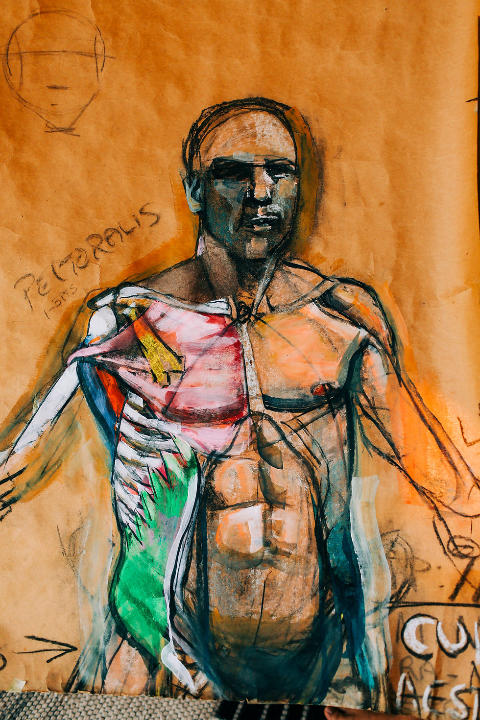 Thumbnail: “Pectoralis Major” by Peter Cox, 2017