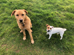 Max and Lenny