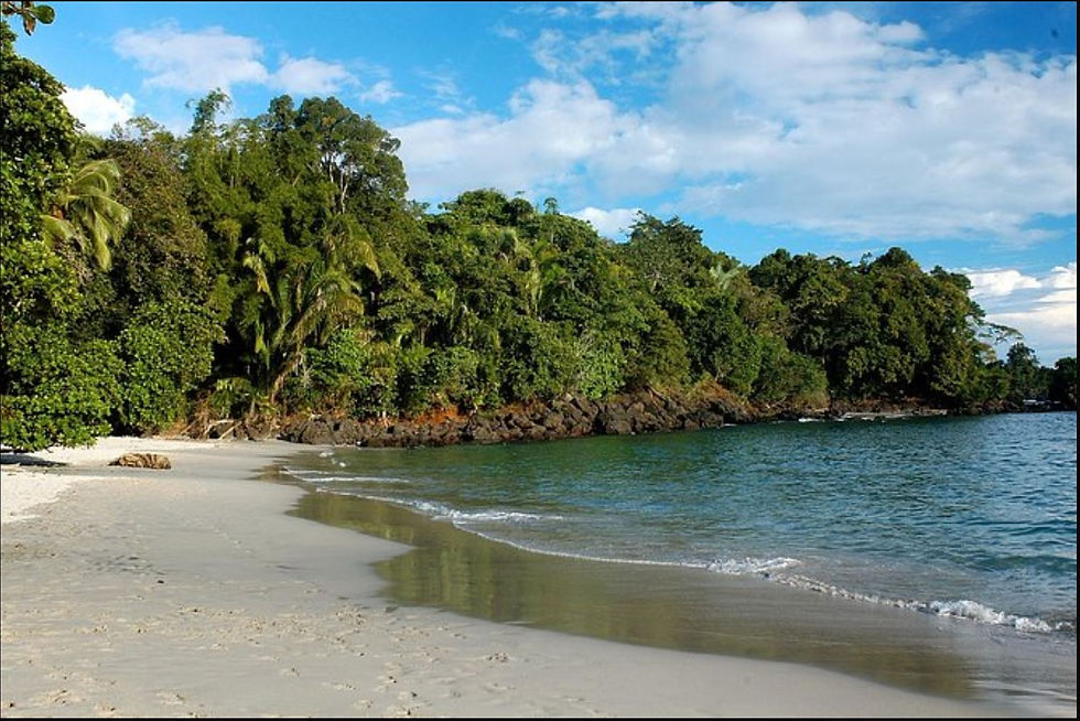 Manual Antonio beach.JPG