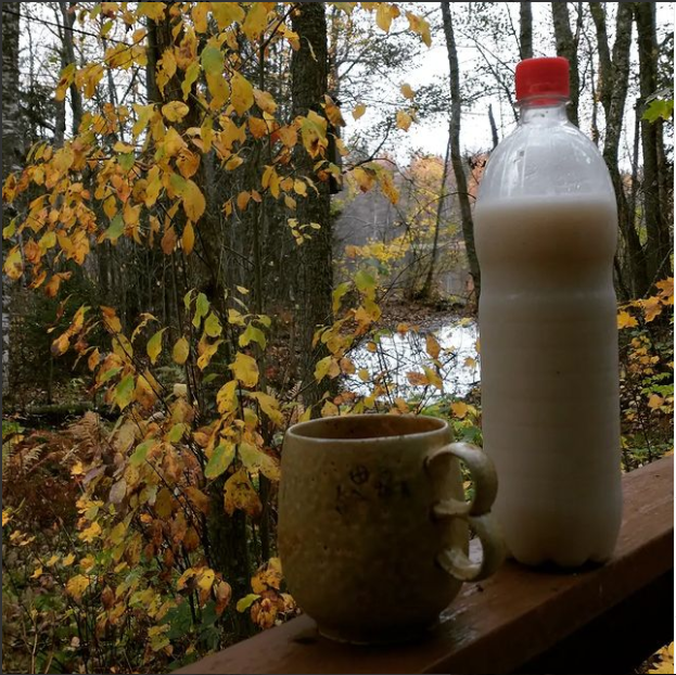 Photo of John's own Makgeolli from his Instagram