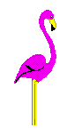 flamingodancing.gif