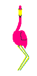 flamingo2.gif