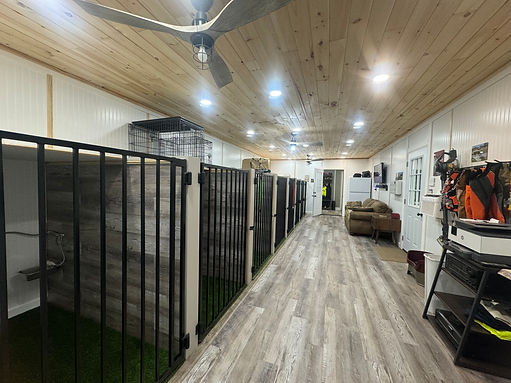 kennel.3.jpg