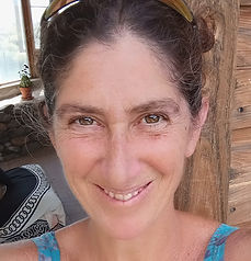Wendy Videlock.jpeg
