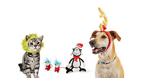 Petco Seuss