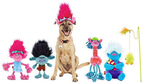 Petco x Trolls product launch