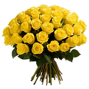 overnight-yellow-roses-globalrose.png