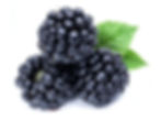 Thumbnail:  6oz B-Sea Moss Gel-Blackberry