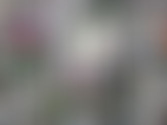 Thank You to ALL who Celebrated Juneteenth with Us on Friday, June 19, 2020!