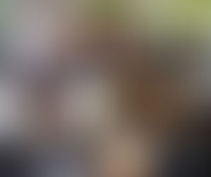 Nicholas Ashe Loving Body By R.A.N B-Oil-Citrus!