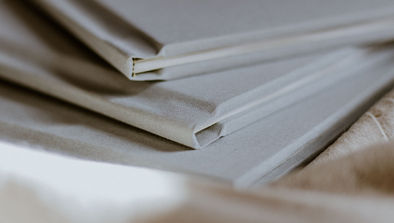 PETRONELLA STUDIOS _ FINE ART WEDDING ALBUMS-12.jpg