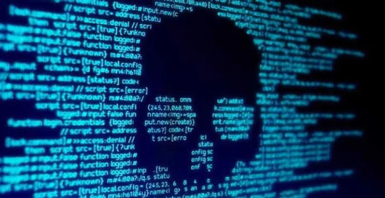 Estadísticas de Vulnerabilidad hasta 2019