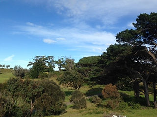 View From Our Roof - 11 June 2018 - 7