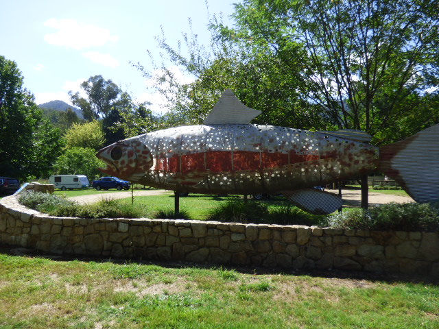 Harrietville Trout Farm - 9 March 2020 -