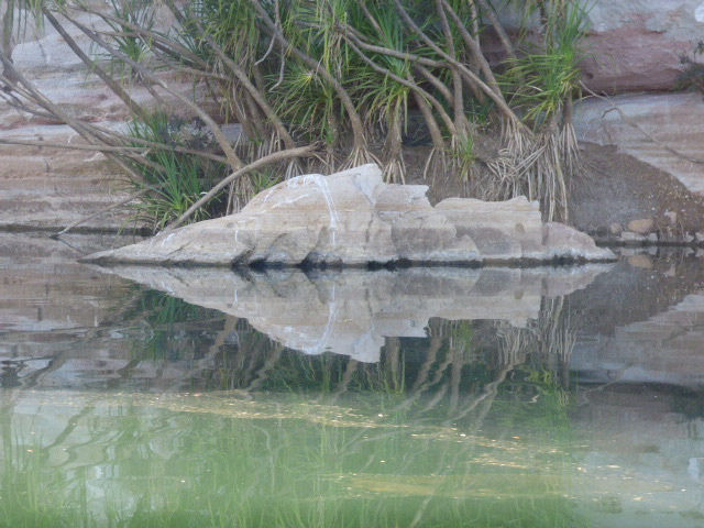 Dungu-Geikie Gorge - 198