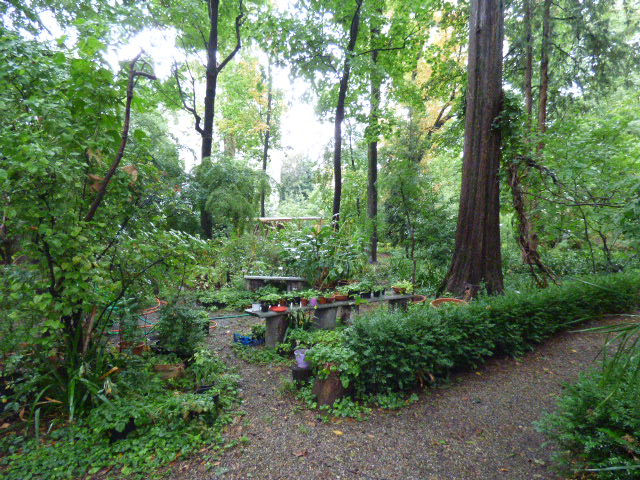 P1080143