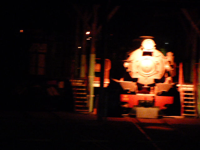 Sound and Light Show Peterborough - 10