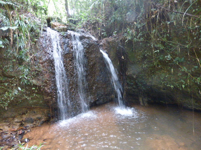 Paronella Park - 95