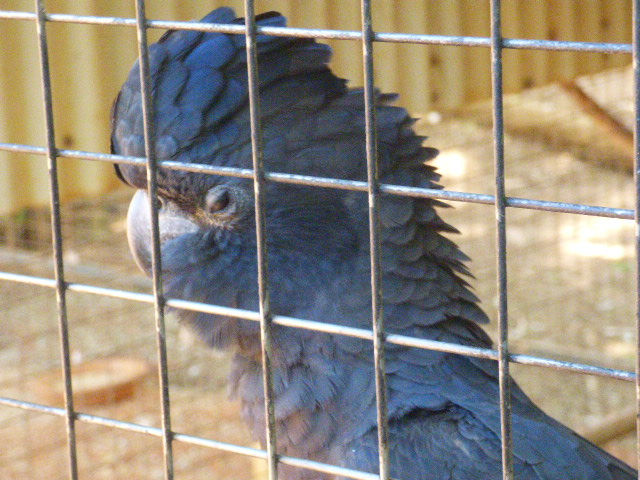 12 Mile Bird Park - 14