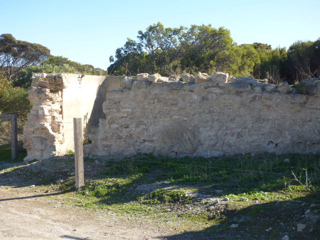 P1350351