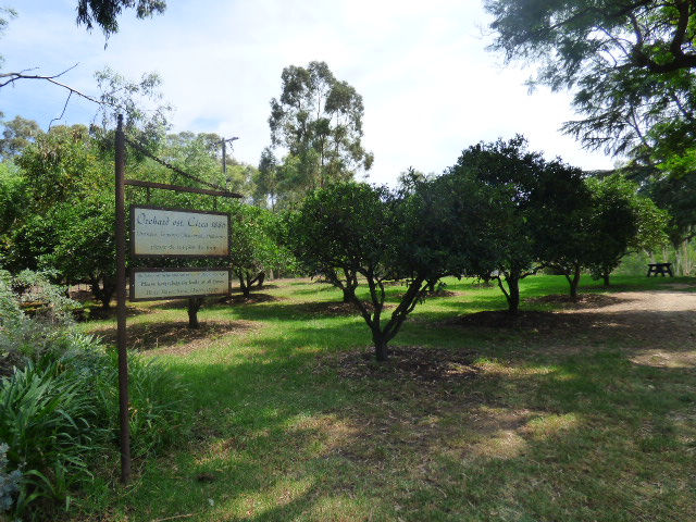 Lake Moodemere Winery - 26 February 2019
