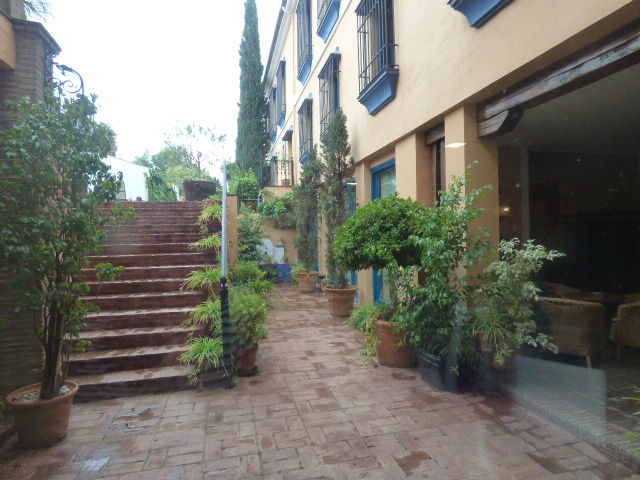 P1150059