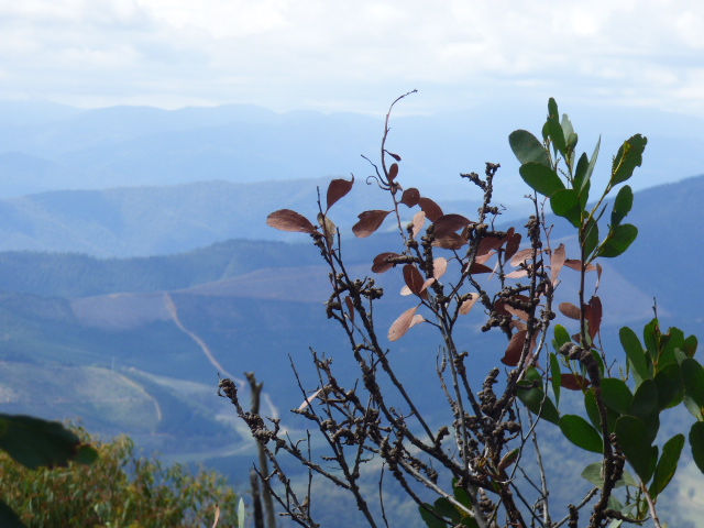 Mount Buffalo - 10 March 2020 - 36