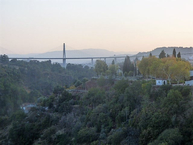 P1180236