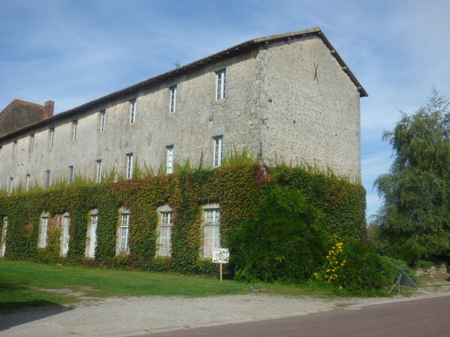 P1090659