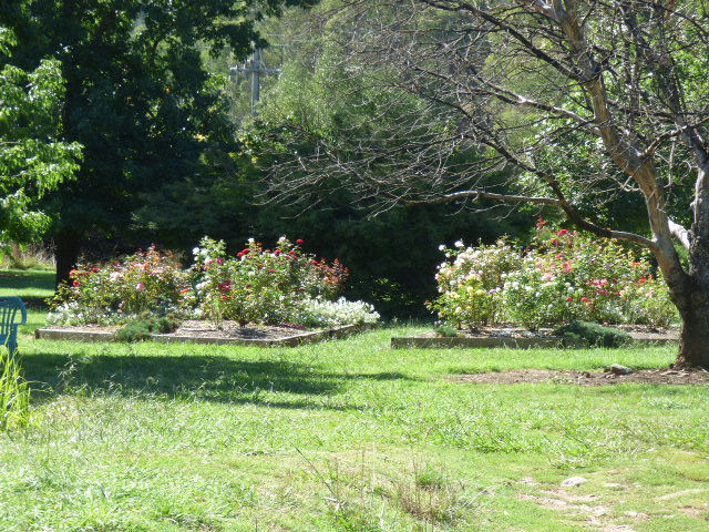 Harrietville Trout Farm - 9 March 2020 -