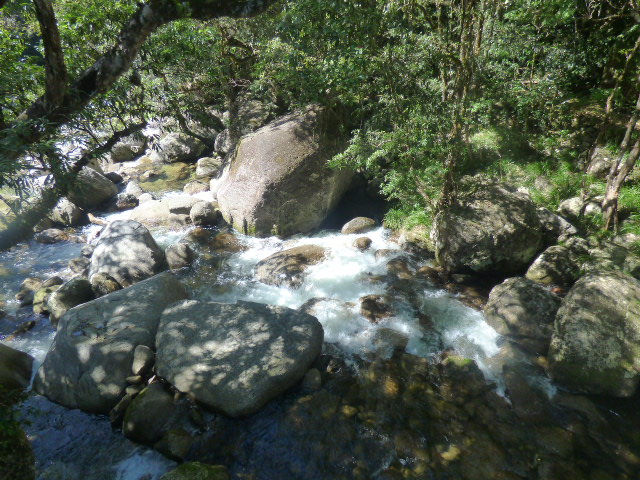 Mosman Gorge - 61