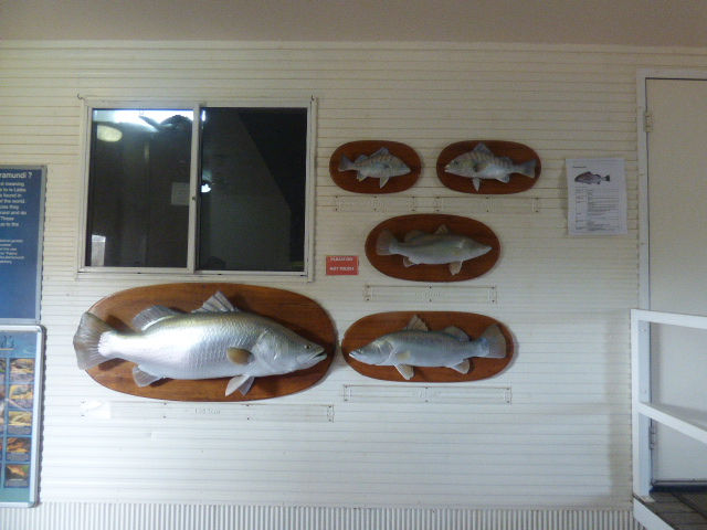 Barramundi Centre - 13