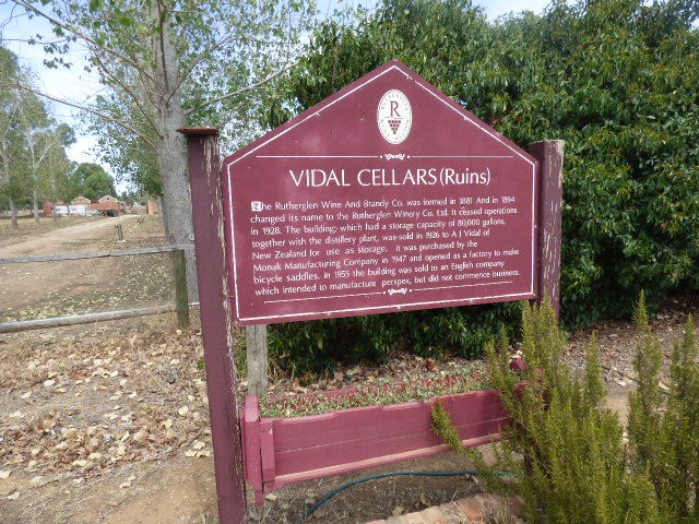 Ruins of Vidal Cellars - 26 February 201