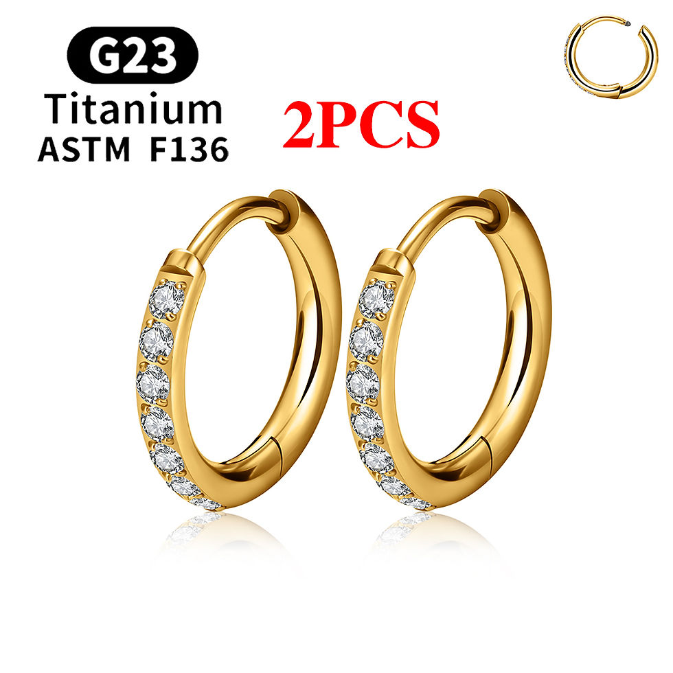 Miniatura: 2/20PCS G23 Titanium Earring Hoop CZ Hinged Segment Round Nose Ring for Women Ea
