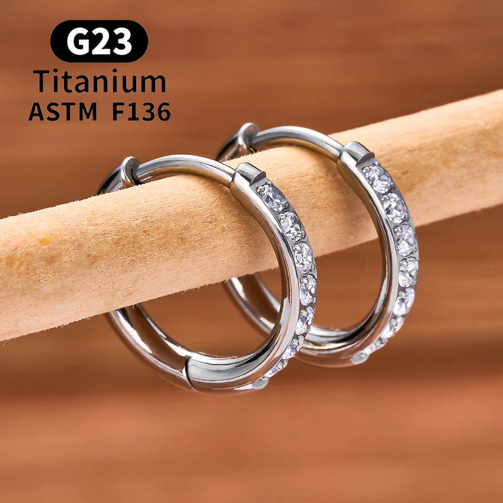 Miniatura: 2/20PCS G23 Titanium Earring Hoop CZ Hinged Segment Round Nose Ring for Women Ea