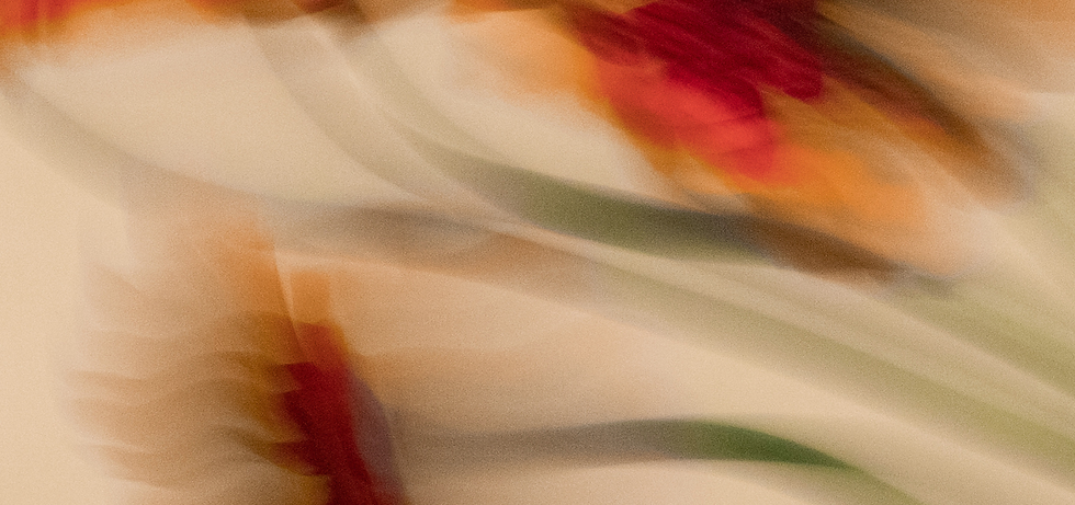 header-web-anoukvanravenhorst-design.png
