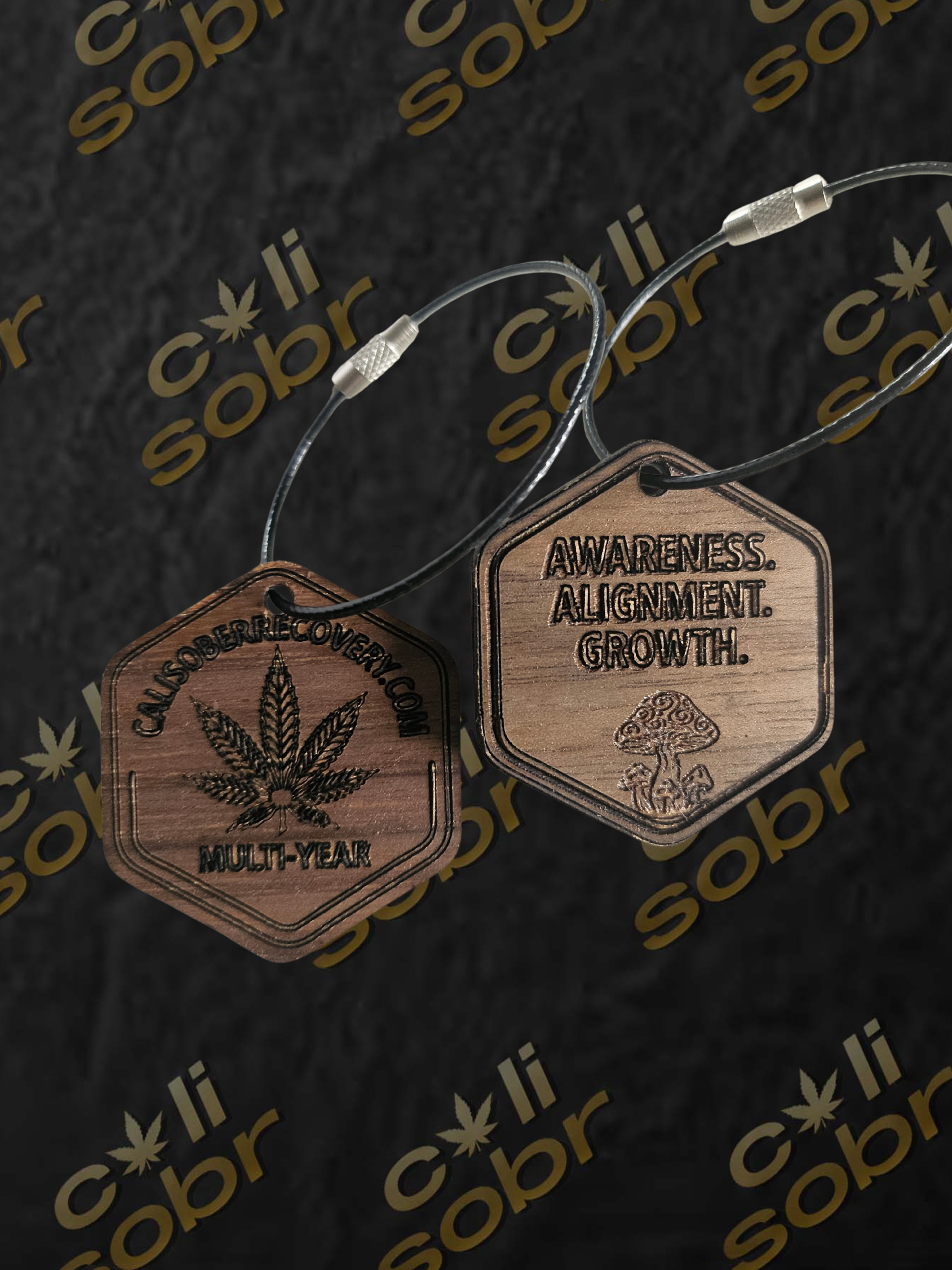 Multiple Years - Recovery Token Key Chain