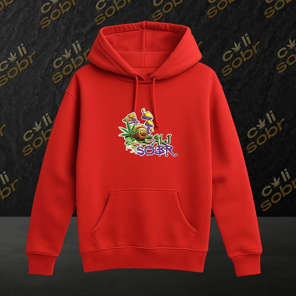 Thumbnail: CaliSobr: Trippy Snail Hoodie