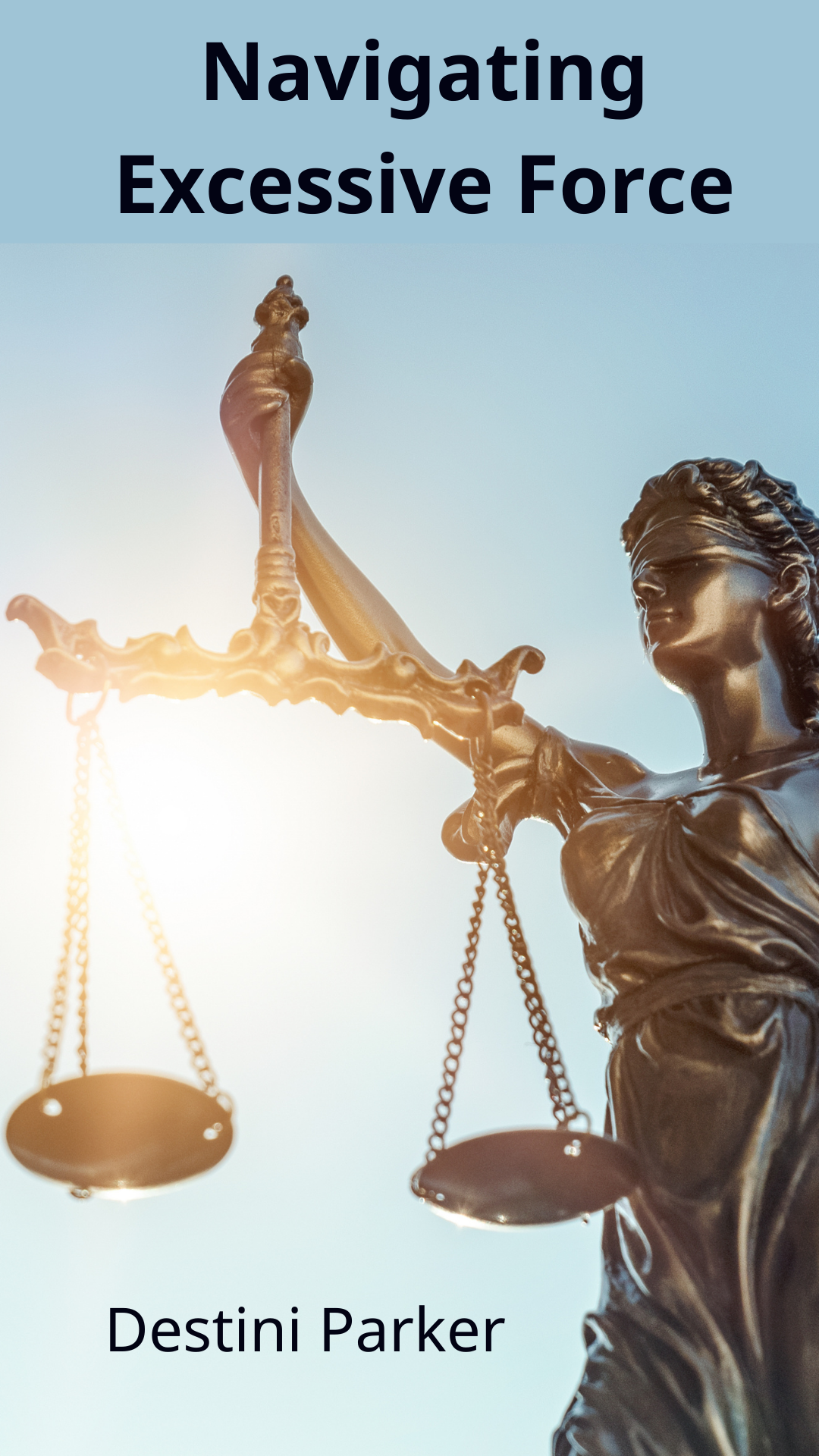 Navigating Excessive Force
