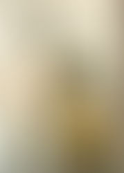 São Domingos do Prata - Subsídios para a História