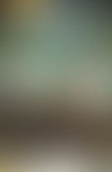 Sobreviventes do Holandês Voador