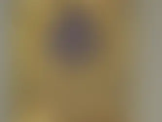 A mulher negra que eu vi de perto.