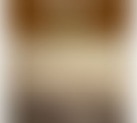 O AMOR, A ESPADA E A HONRA - FÁBIO M. PACHECO