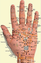 Reflexologia_-_Mão.png