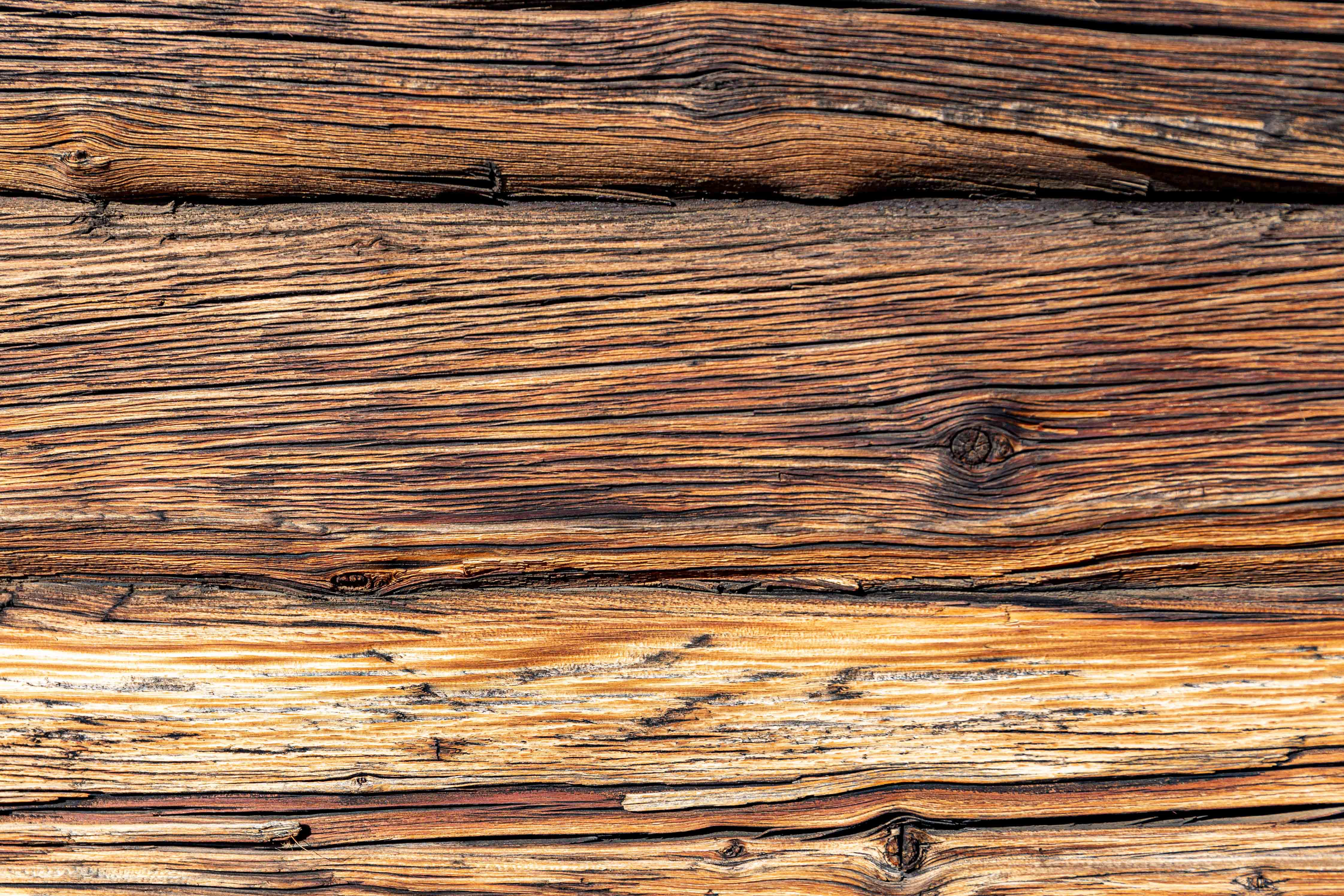 Hestefettimpregnering