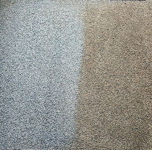 Professional carpet cleaning before and after results