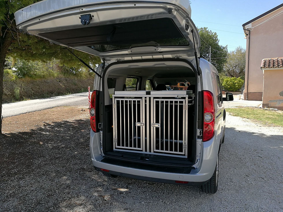 Doppio trasportino Opel Combo