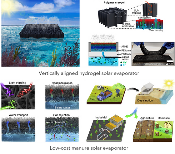 solar desalination, solar interfacial evaporation